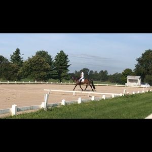 Meet your Posher, Megan